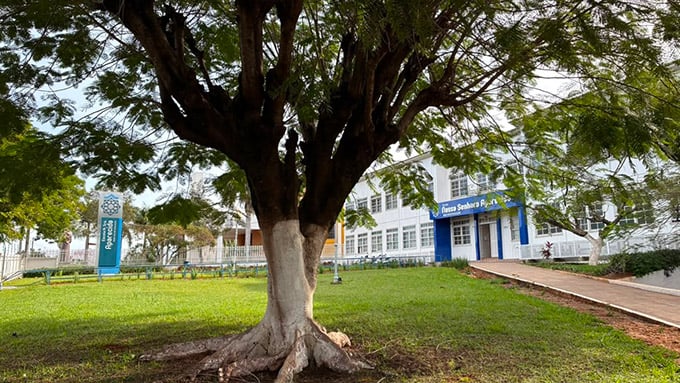 infra-aparecida-area-verde