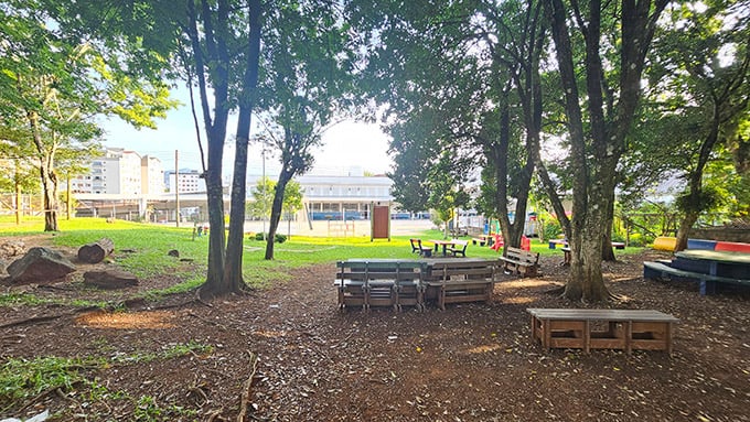infra-imaculada-bosque